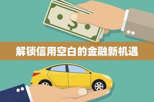 武川解锁信用空白的金融新机遇