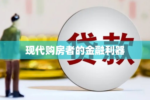 武川现代购房者的金融利器