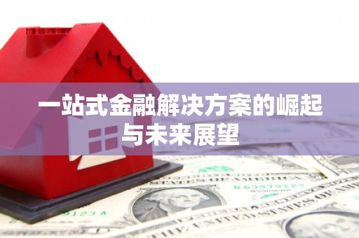 武川一站式金融解决方案的崛起与未来展望
