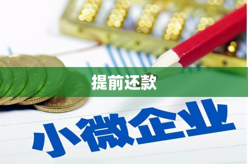 武川提前还款