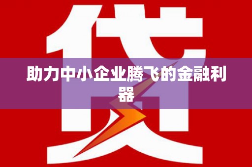 武川助力中小企业腾飞的金融利器