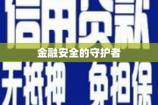 武川金融安全的守护者
