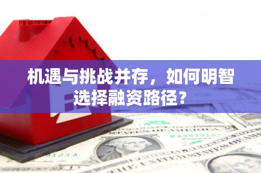 武川机遇与挑战并存，如何明智选择融资路径？