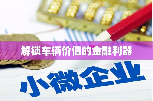 武川解锁车辆价值的金融利器