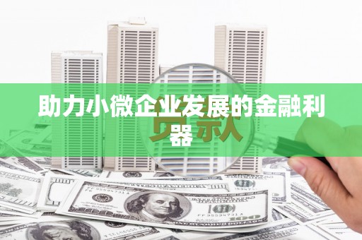 武川助力小微企业发展的金融利器