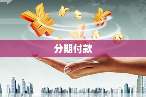 武川分期付款