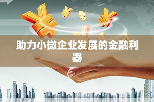 武川助力小微企业发展的金融利器
