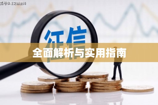 武川全面解析与实用指南