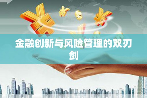 武川金融创新与风险管理的双刃剑