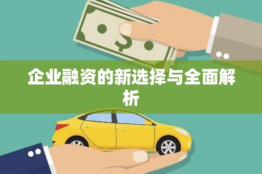 武川企业融资的新选择与全面解析