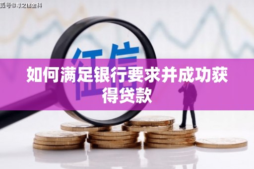武川如何满足银行要求并成功获得贷款
