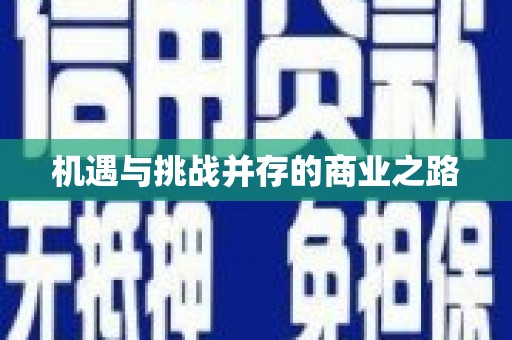 武川机遇与挑战并存的商业之路