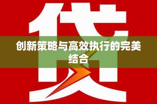 武川创新策略与高效执行的完美结合