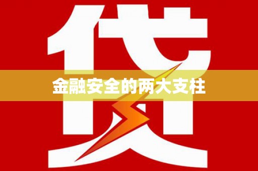 武川金融安全的两大支柱