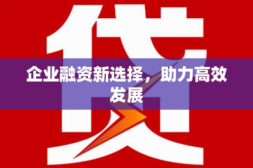 武川企业融资新选择，助力高效发展