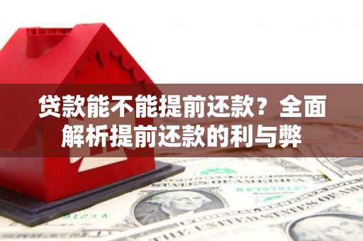 武川贷款能不能提前还款？全面解析提前还款的利与弊