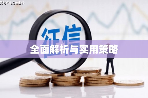 武川全面解析与实用策略