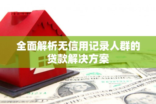 武川全面解析无信用记录人群的贷款解决方案