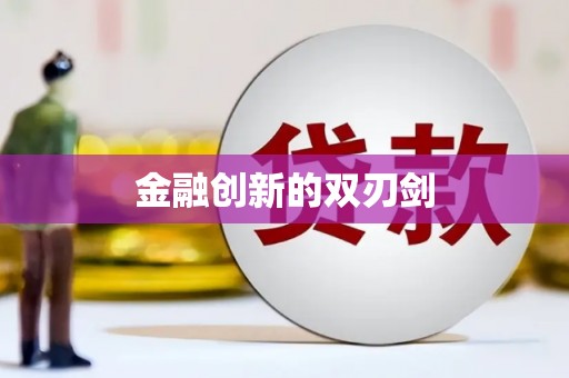 武川金融创新的双刃剑