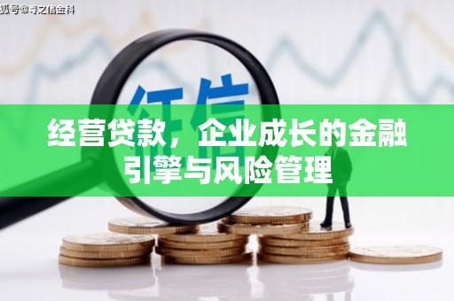 武川经营贷款，企业成长的金融引擎与风险管理