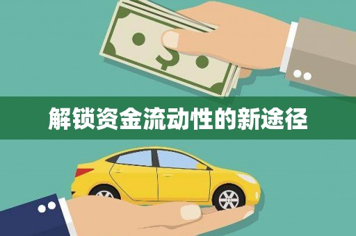 武川解锁资金流动性的新途径