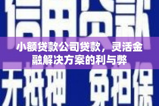 武川小额贷款公司贷款，灵活金融解决方案的利与弊