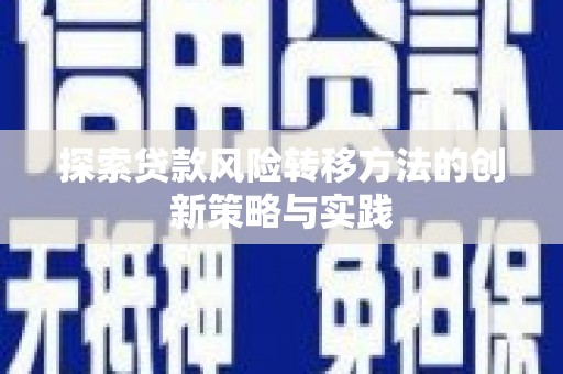 武川探索贷款风险转移方法的创新策略与实践