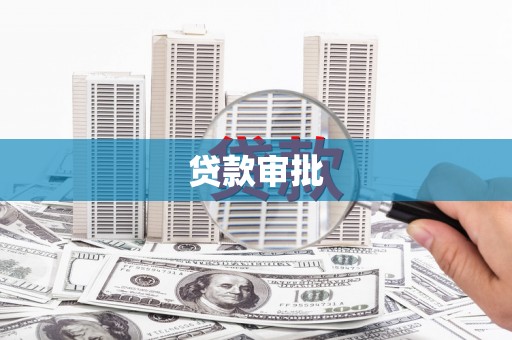 武川贷款审批