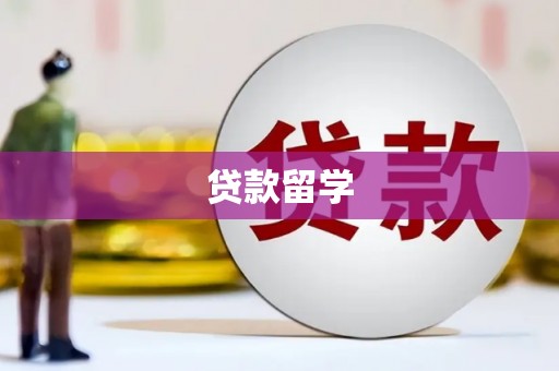 武川贷款留学