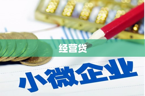 武川经营贷
