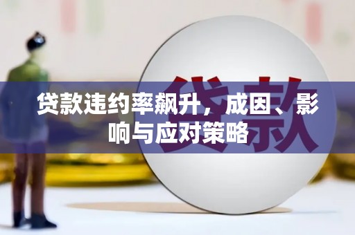 武川贷款违约率飙升，成因、影响与应对策略