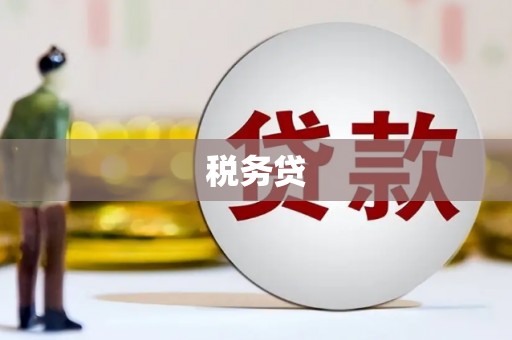 武川税务贷